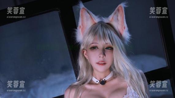 黑白御猫 诡异的黑白,你懂的——黑白御猫原图与你分享!